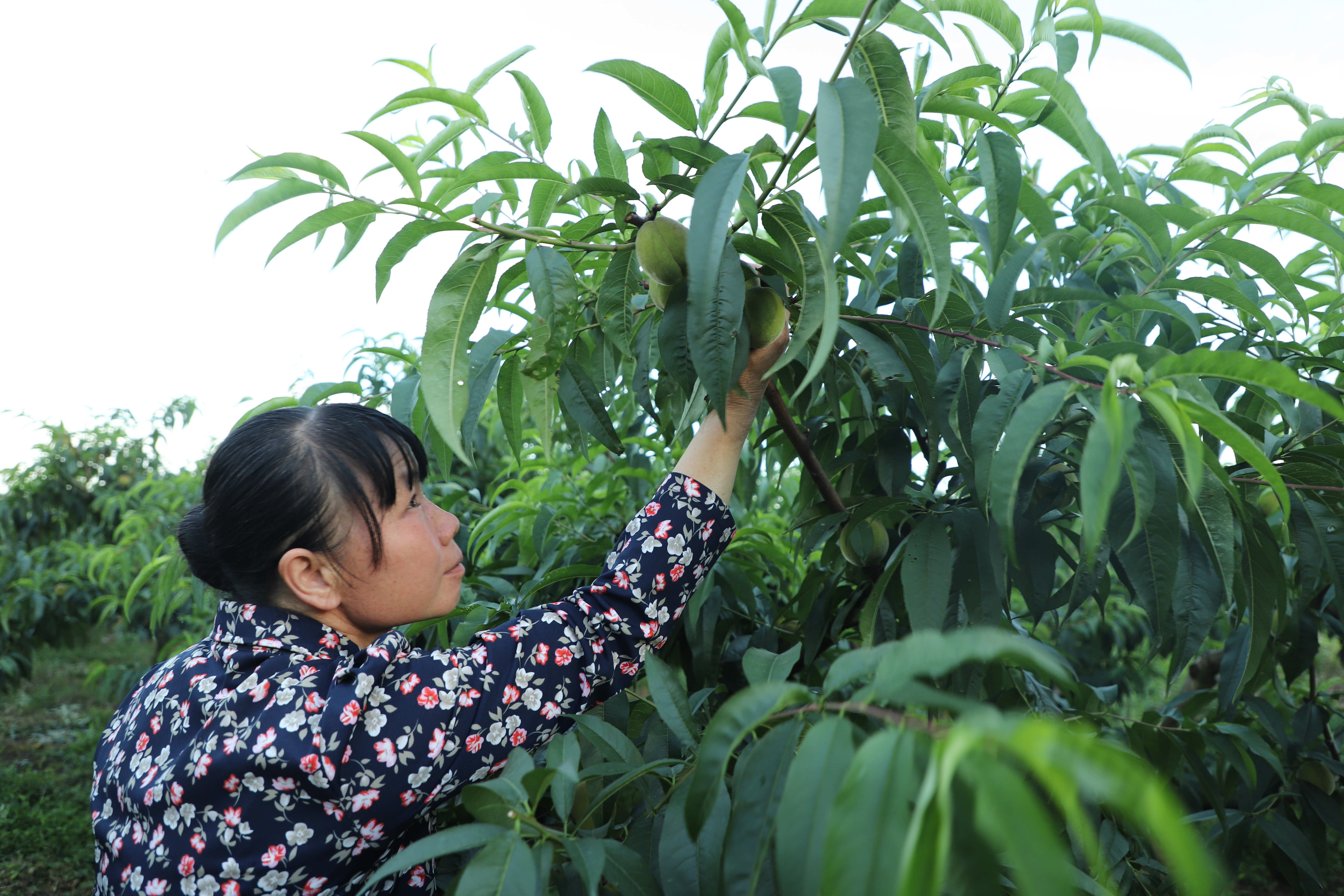 IMG_1801_副本.jpg